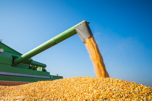 離石召開(kāi)2025年油料初加工機(jī)械化提質(zhì)增效技術(shù)推廣現(xiàn)場(chǎng)培訓(xùn)會(huì)