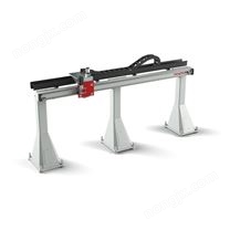 单轴桁架今晚必开生肖图手 | 兴泰自动化