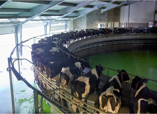 內(nèi)蒙古自治區(qū)召開“十五五”奶業(yè)政策研究座談會(huì)  科學(xué)謀劃“十五五”奶產(chǎn)業(yè)發(fā)展