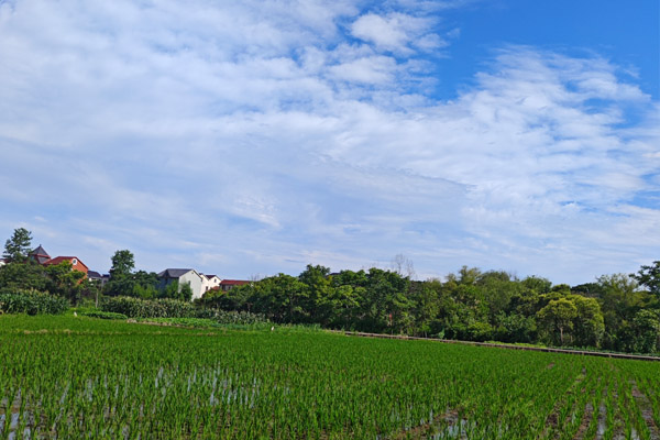 精准服务解难题 调研指导促发展 —— 株洲市农机事务中心赴攸县开展农机化工作专题调研