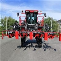 玉米去雄機(jī)廠家自走式大型玉米抽雄機(jī)價格